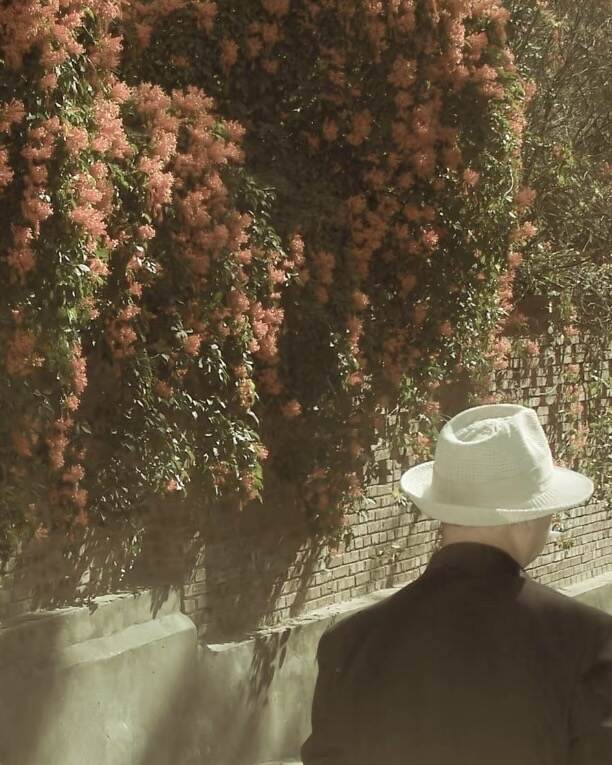 墙纸