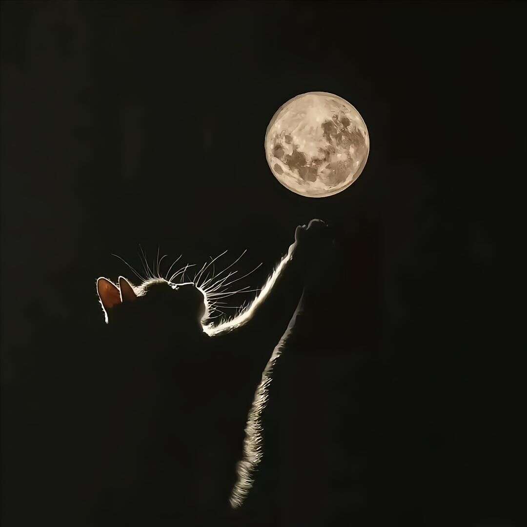 夜寻北斗